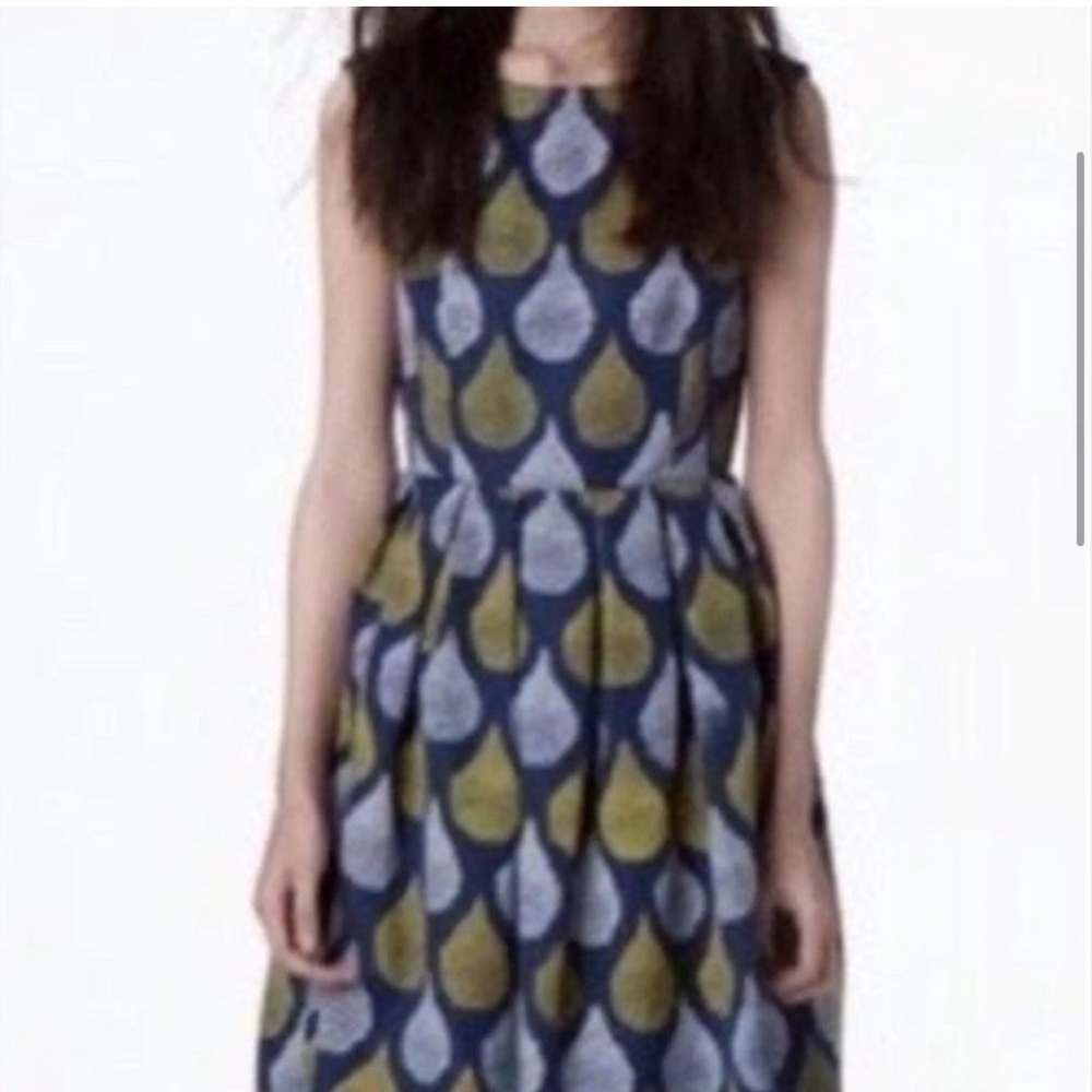 Dear Creatures 💧Rain Fit & Flare Dress ☔️ Large